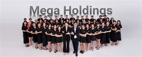 mega holdings